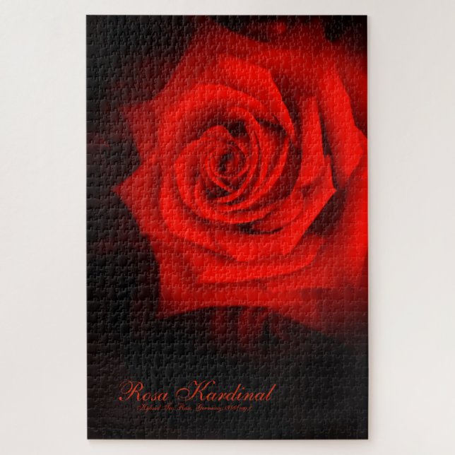 Puzzle Rosa Kardinal [Jigsaw puzzle(1014 piece)] (Vertical)