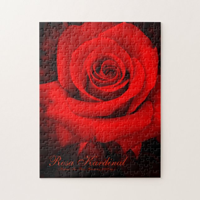 Puzzle Rosa Kardinal [Puzzle (252 pièce)] (Vertical)