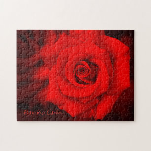 Puzzle Rosa ‘Rose Osaka’  [Puzzle : 252P]
