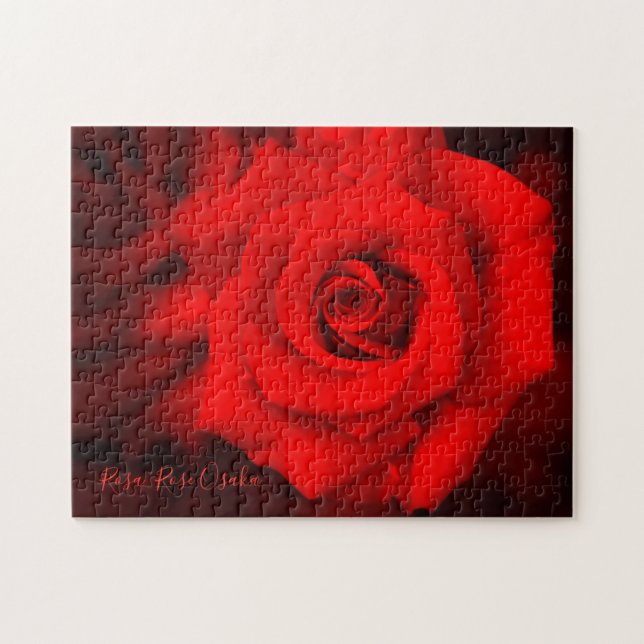 Puzzle Rosa ‘Rose Osaka’  [Puzzle : 252P] (Horizontal)