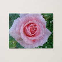 Puzzle rose