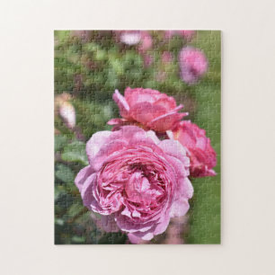 Puzzle Rose anglais Garden Kew Gardens Londres Royaume-Un