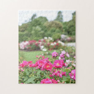 Puzzle Rose anglais Garden Kew Gardens Londres Royaume-Un