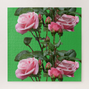 PUZZLE ROSE ANGLAIS ROSE