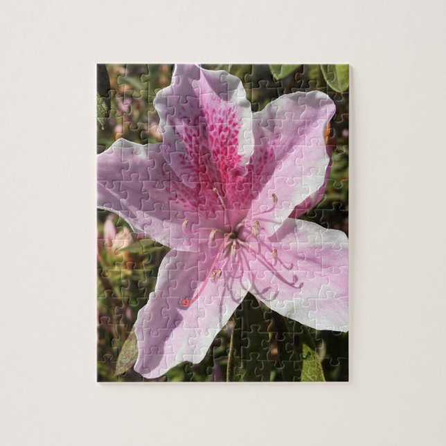 Puzzle rose azalea (Vertical)