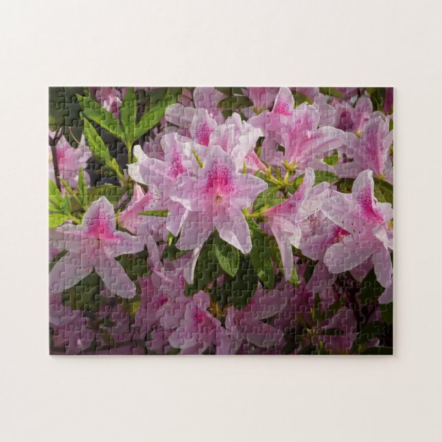Puzzle Rose Azalea Bush printemps floral (Horizontal)