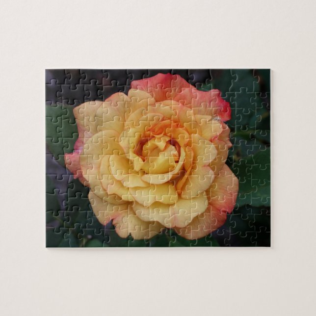 Puzzle Rose Beautiful Pink and Yellow Floral (Horizontal)