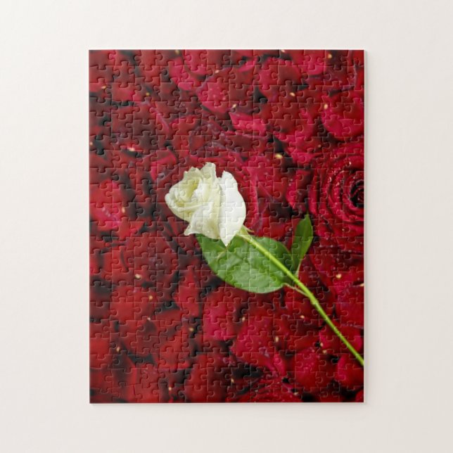 Puzzle Rose blanc sur les pétales rouges (Vertical)