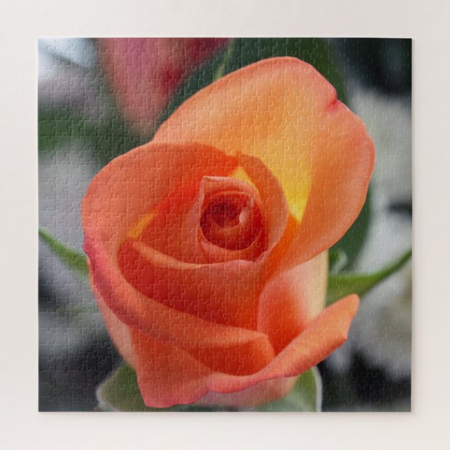 Puzzle Rose coucher de soleil (Vertical)