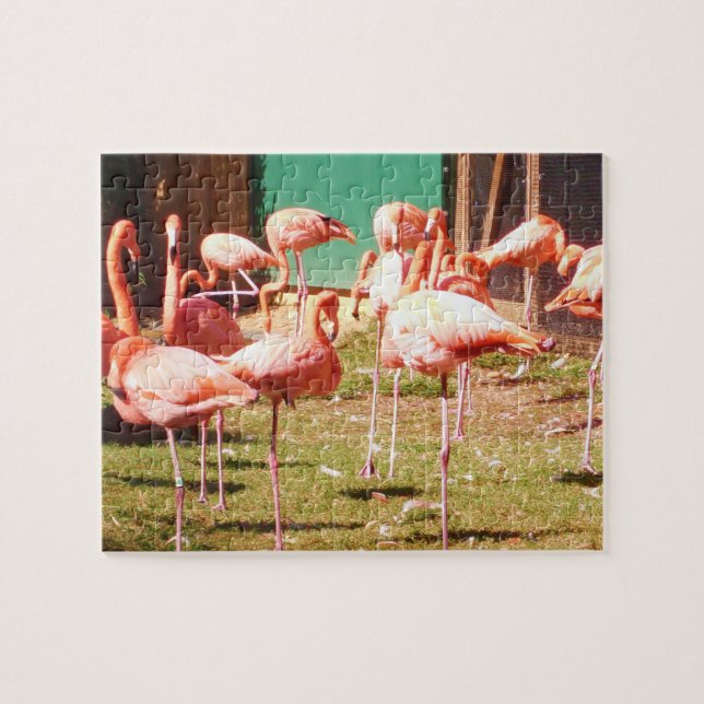 Puzzle rose de Flamant rose (Horizontal)