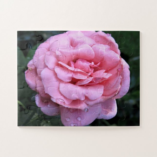 Puzzle rose de la reine Elizabeth (Horizontal)