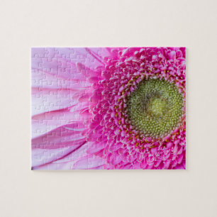 Puzzle rose de marguerite de Gerbera