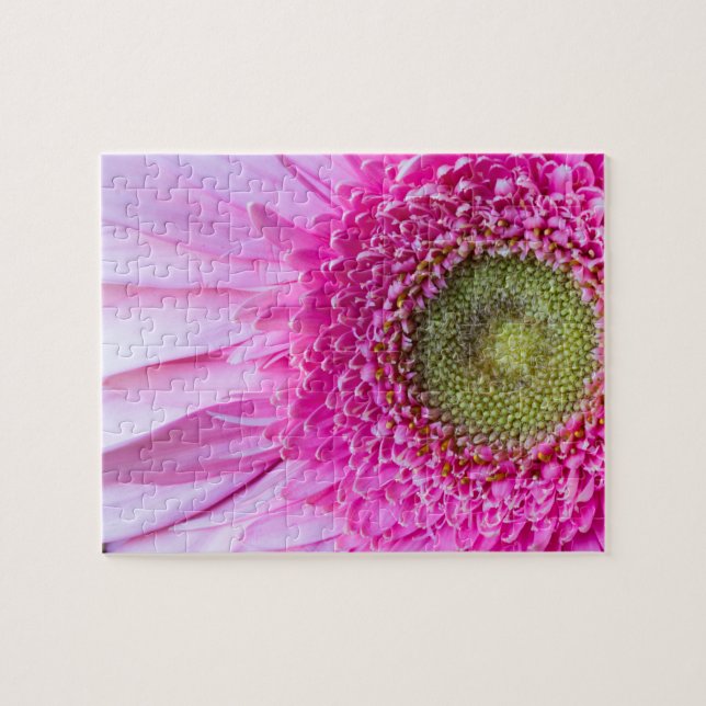 Puzzle rose de marguerite de Gerbera (Horizontal)