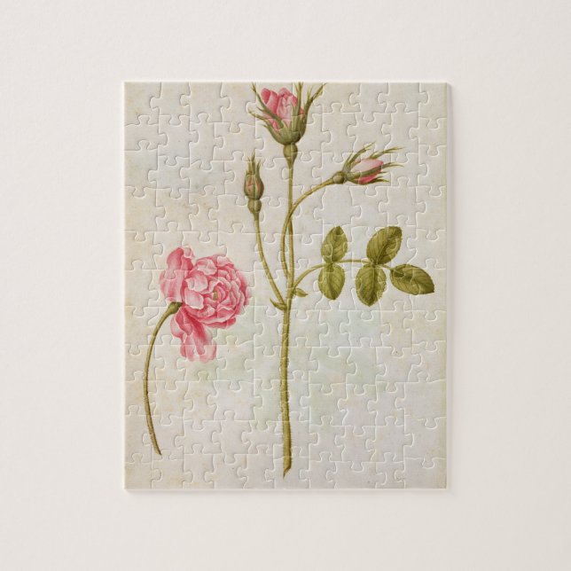 Puzzle Rose de rose, c.1568 (Vertical)