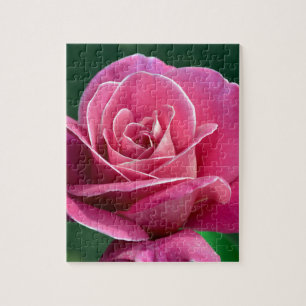 Puzzle Rose de thé hybride rose