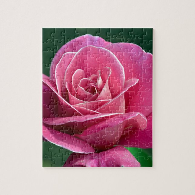Puzzle Rose de thé hybride rose (Vertical)