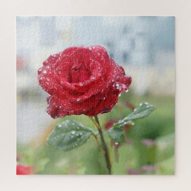 Puzzle Rose en gouttes de pluie  (Vertical)