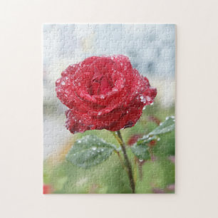 Puzzle Rose en gouttes de pluie 
