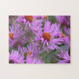 Puzzle Rose Nouvelle Angleterre Asters