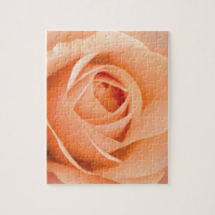 Puzzle Rose orange