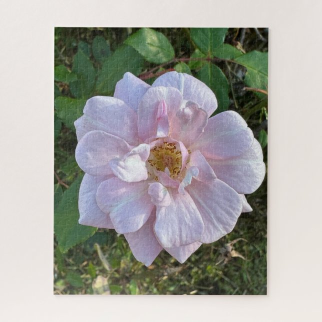 Puzzle Rose Pâle, Oakland (Vertical)