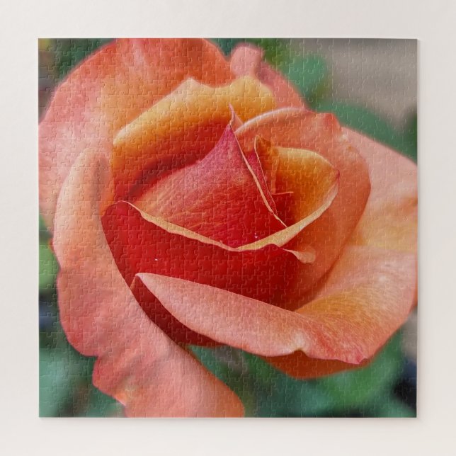 Puzzle Rose Radieuse – Pétales en Harmonie (Vertical)