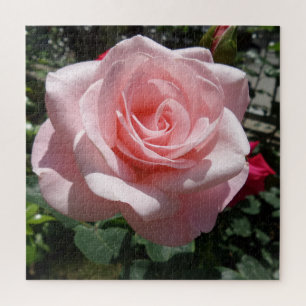 Puzzle rose Rose, 676 pcs