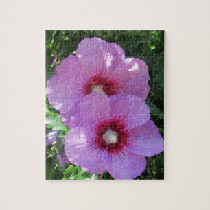 Puzzle Rose rose de Sharon Photo