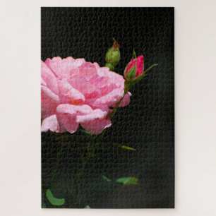 Puzzle Rose rose rose