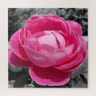 Puzzle Rose rose rose avec gris du patrimoine parfait