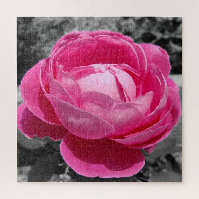 Puzzle Rose rose rose avec gris du patrimoine parfait (Vertical)