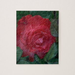 Puzzle Rose rouge