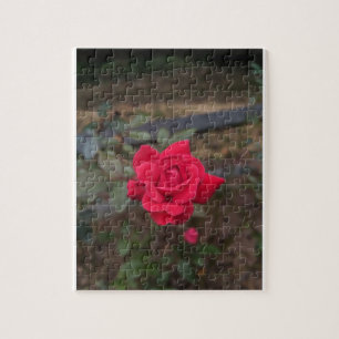 Puzzle Rose rouge