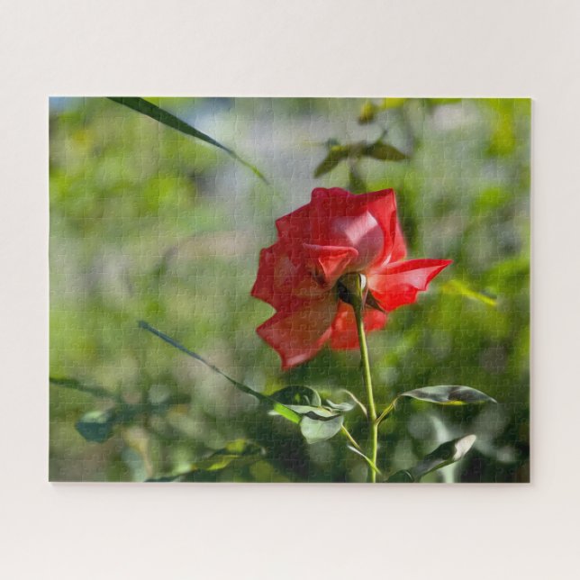 Puzzle Rose rouge (Horizontal)