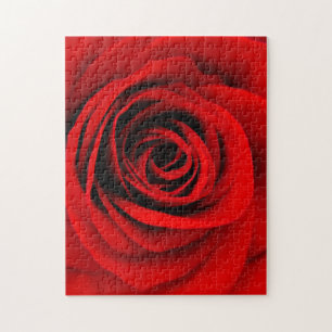 Puzzle Rose rouge