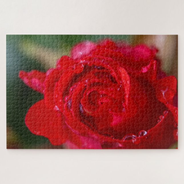 Puzzle Rose rouge closeup avec gouttes d'eau. (Horizontal)