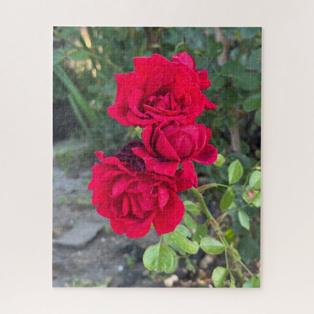 Puzzle Rose rouge, Oakland (Vertical)