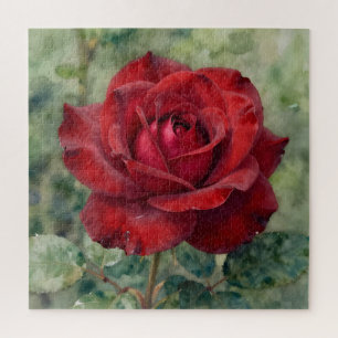 Puzzle Rose Rouge Profonde Romantique en Fleur
