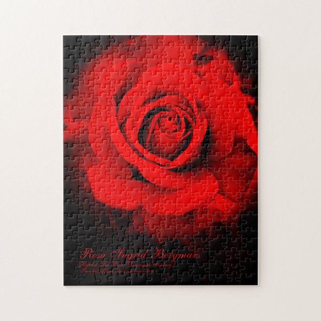 Puzzle Rose rouge [Puzzle (252 pièces)] (Vertical)