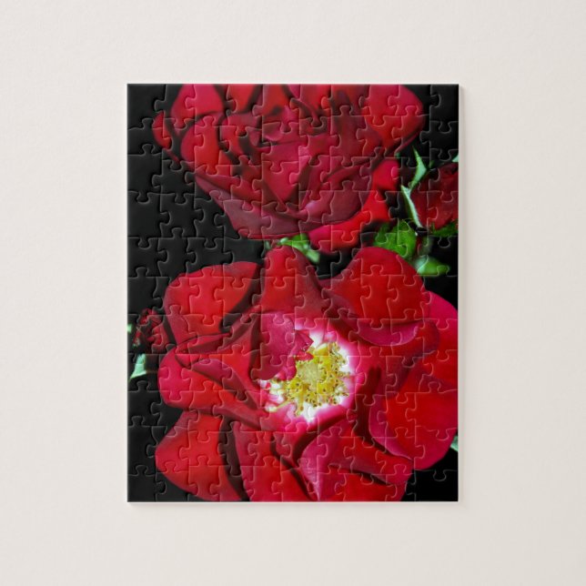 Puzzle Rose rouge sur black.jpg (Vertical)