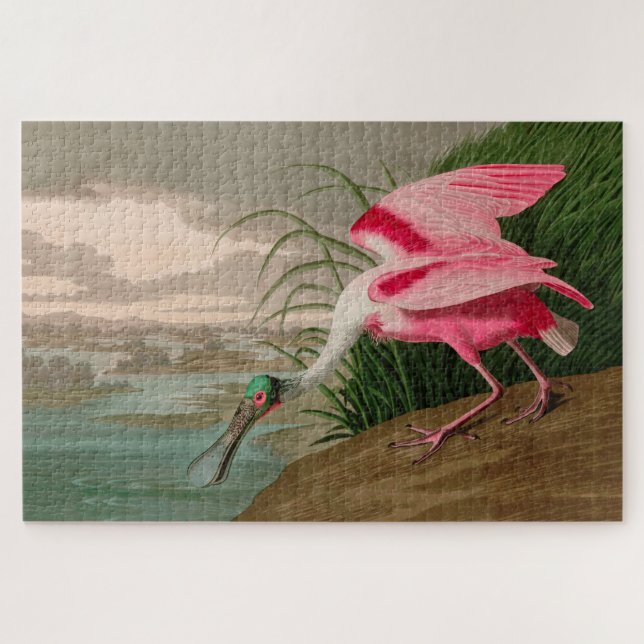Puzzle Rose Spoonbill Birds of America Audubon Print (Horizontal)