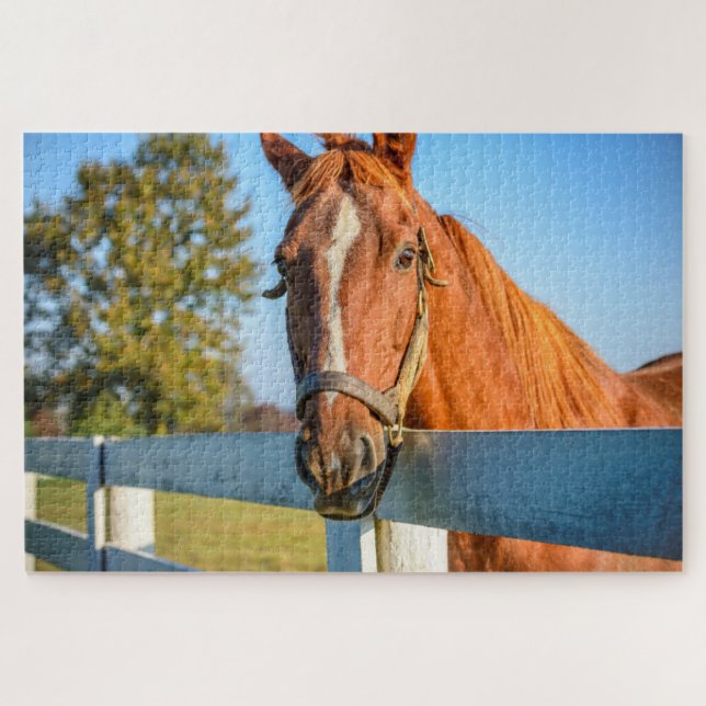 Puzzle Rose Twilight | Thoroughbred Race Horse (Horizontal)