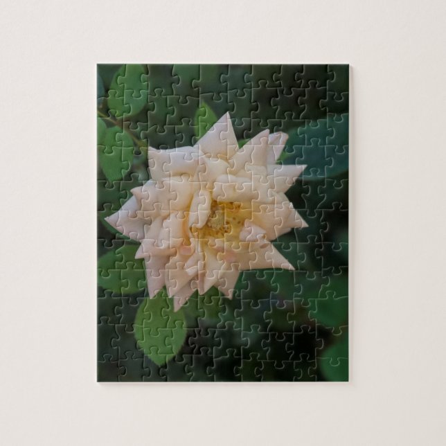 Puzzle Rose Vanilla (Vertical)