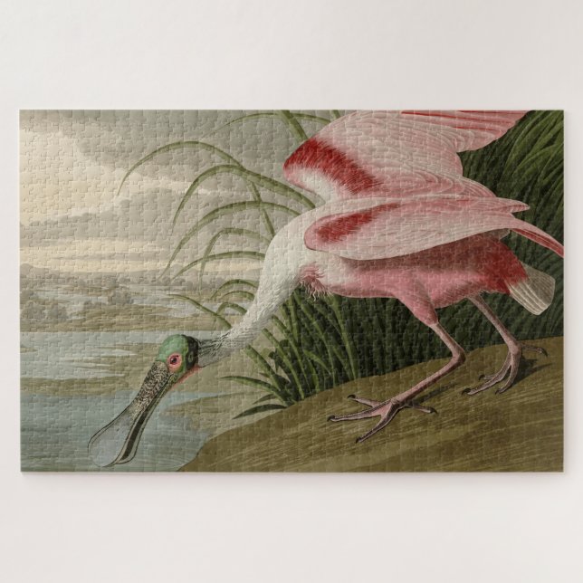 Puzzle Roseate Spoonbill from Audubon's Birds of America (Horizontal)