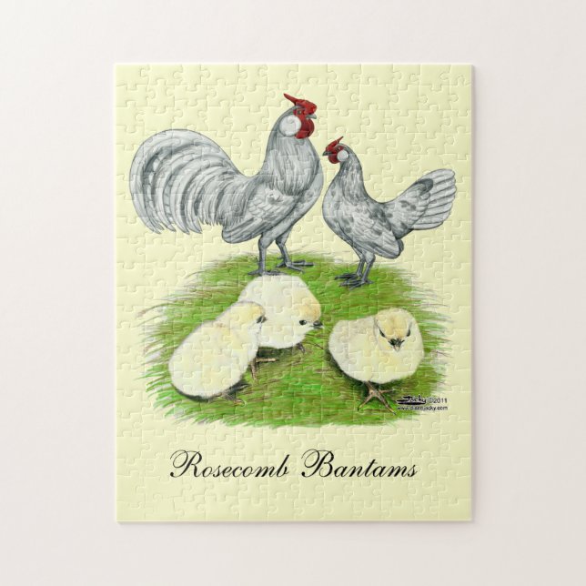 Puzzle Rosecomb naine et poussins (Vertical)