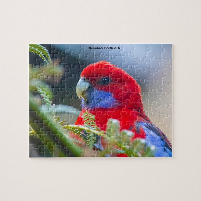 Puzzle Rosella Parrots Australie (Horizontal)