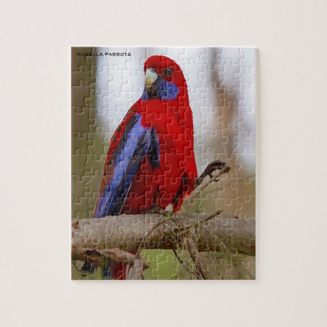 Puzzle Rosella Parrots Australie (Vertical)