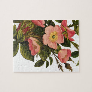 Puzzle Roses Anciennes Jolies Roses Botaniques Roses
