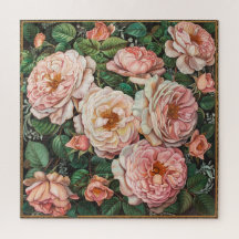 Roses roses légères
