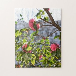 Puzzle Roses roses rose Fleur Nature Jardin de photograph